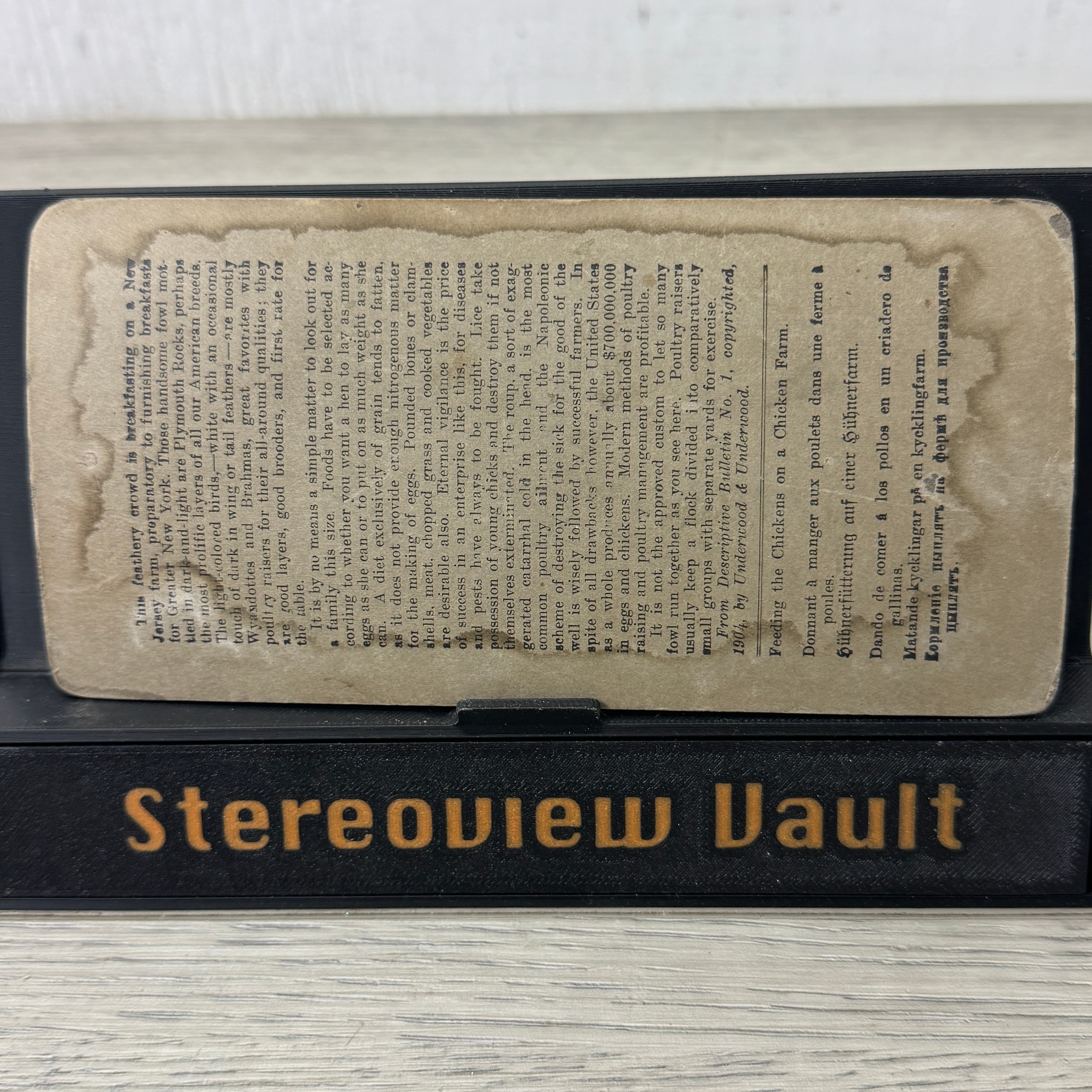 Underwood Stereoview #5808, Feeding Chickens on Farm, c. 1901 - Back