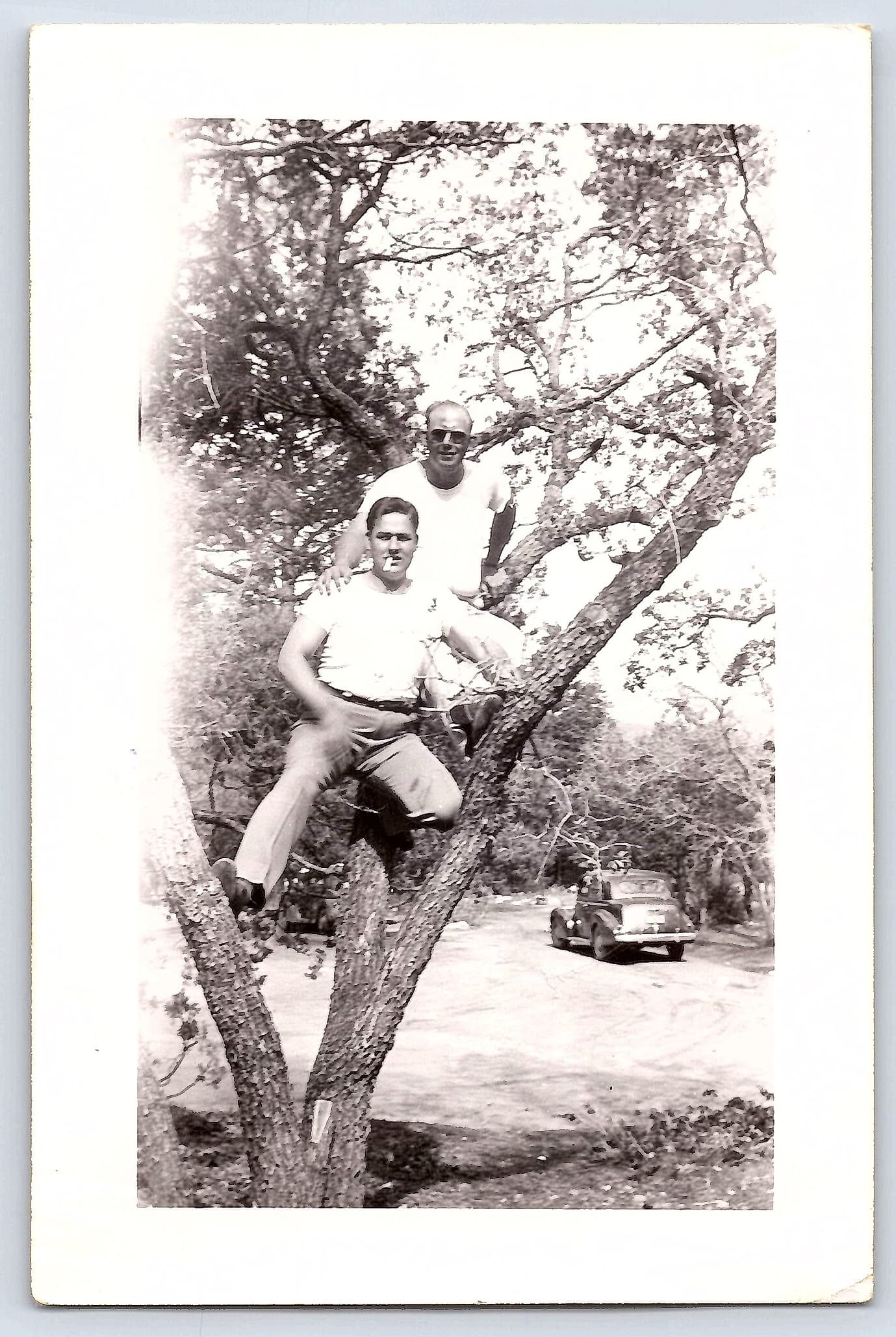 Vintage Snapshot of Two Men in Tree, Gelatin Silver, 3.22" × 4.92", 1940s