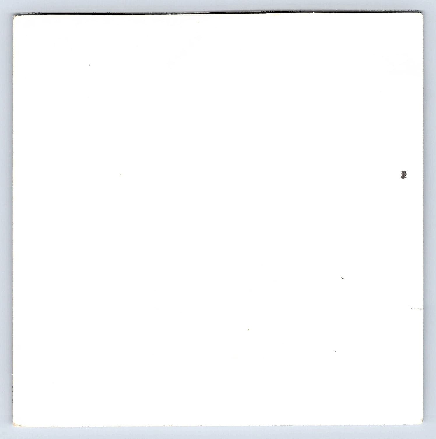 1960s Wedding Party Photograph, Black and White, 3.5 × 3.5 inches - Back