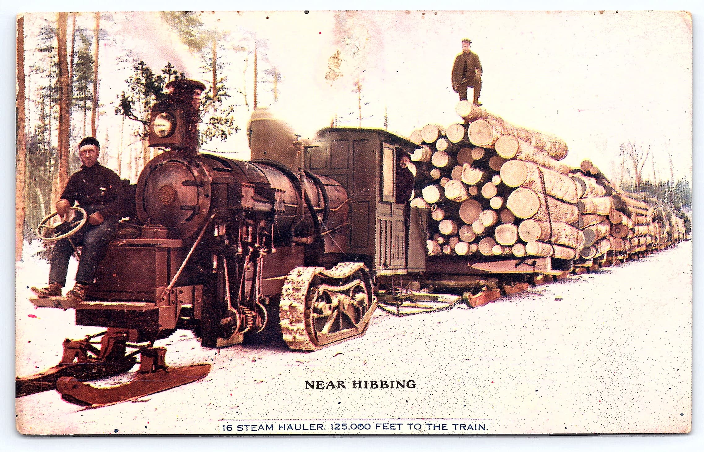 Steam Hauler Logging Near Hibbing, Divided Back Postcard, Early 1900s