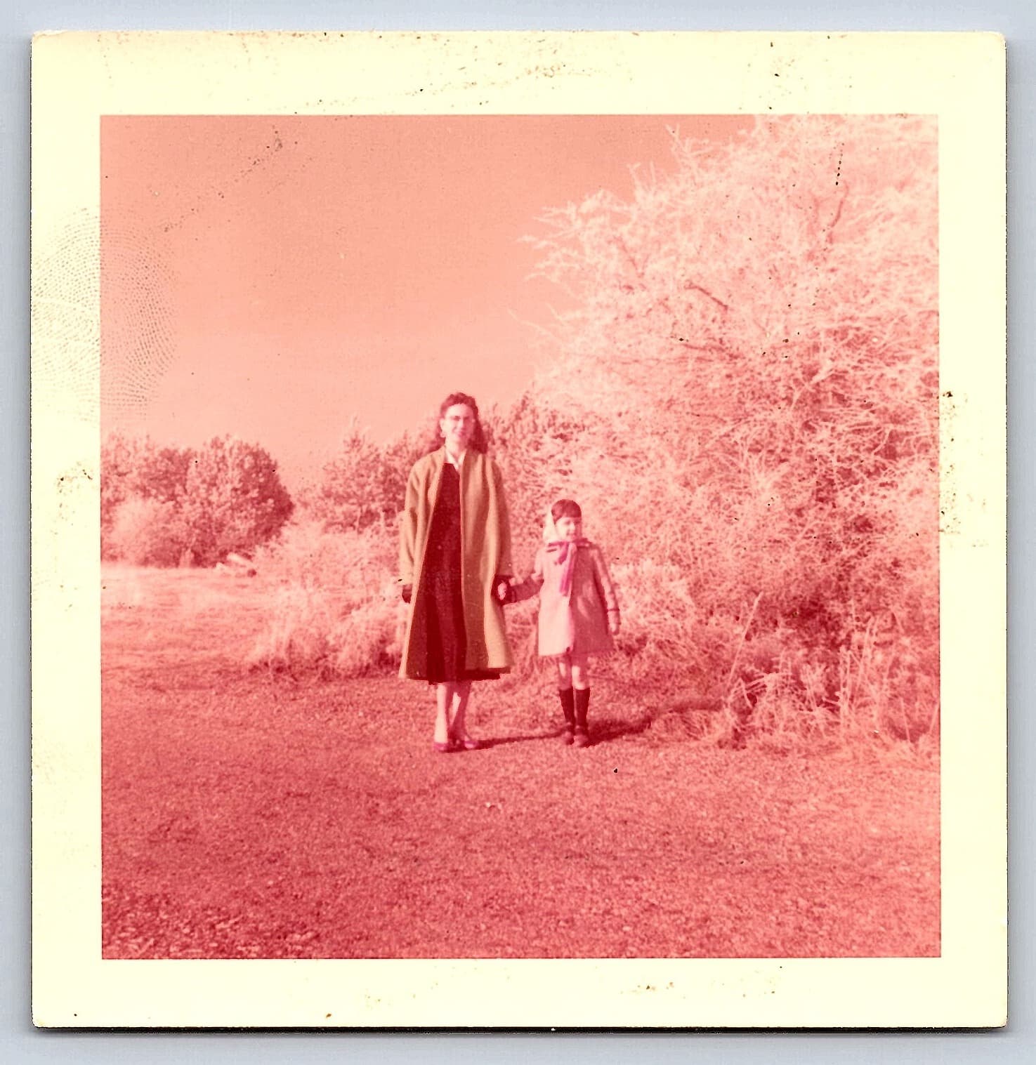 Mother and Child in Nature, Kodacolor Print, 1958