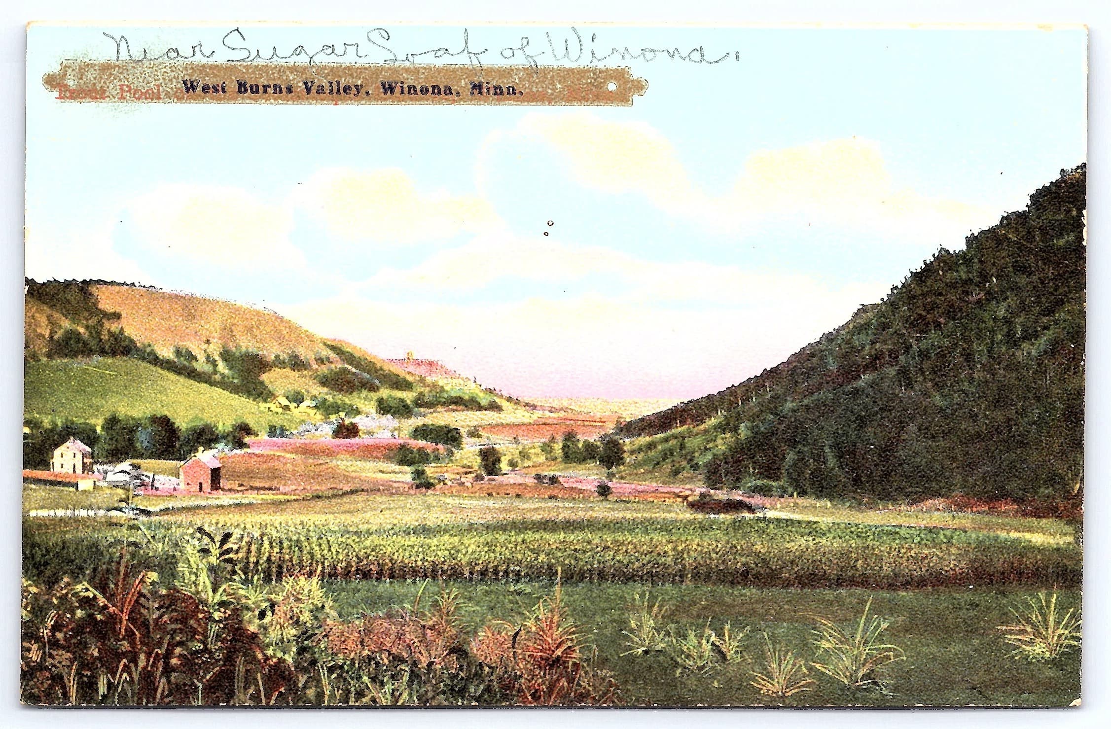 O.L. Taylor Divided Back Postcard, West Burns Valley, Winona, Minn, c.1907