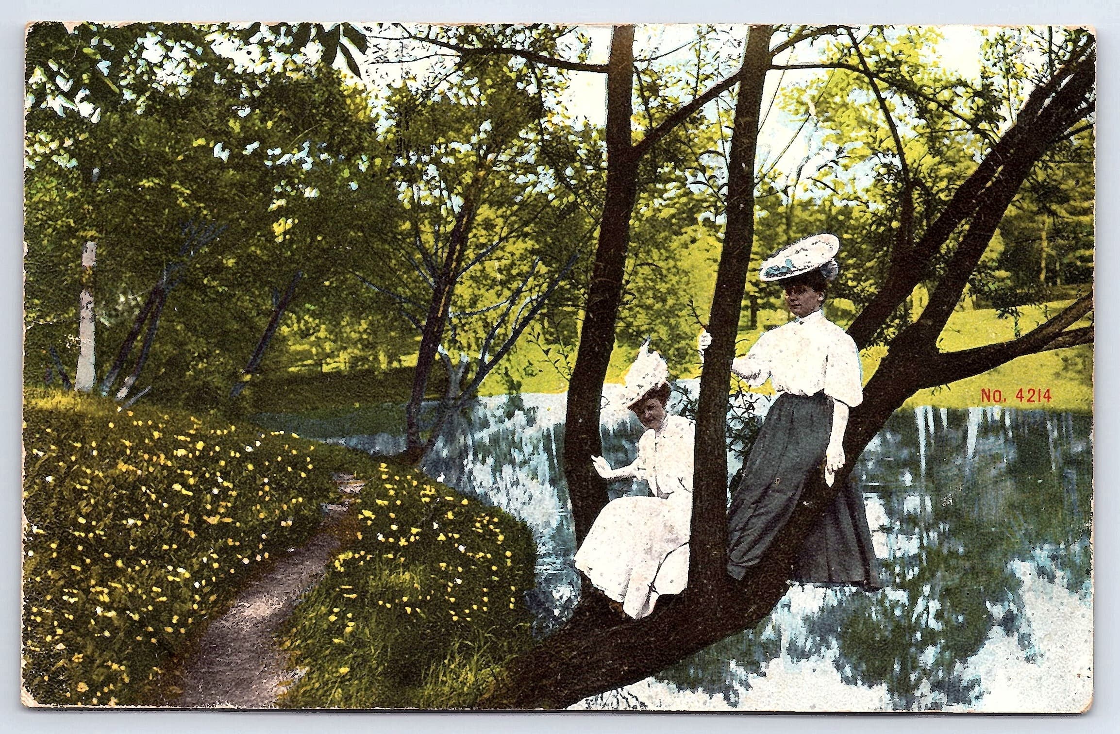 Emery Creek, Divided Back Postcard, Lake City, Minn, 1910s