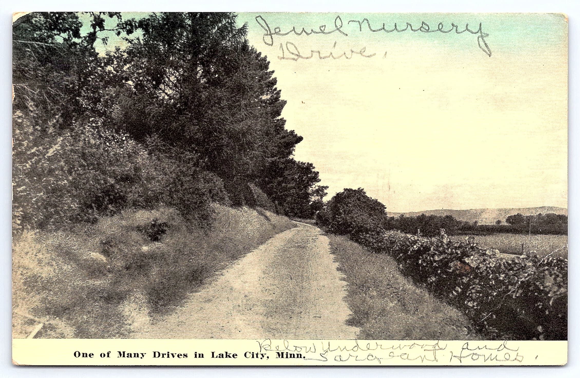 Lake City Drive, Divided Back Postcard, Lake City, Minn., 1915