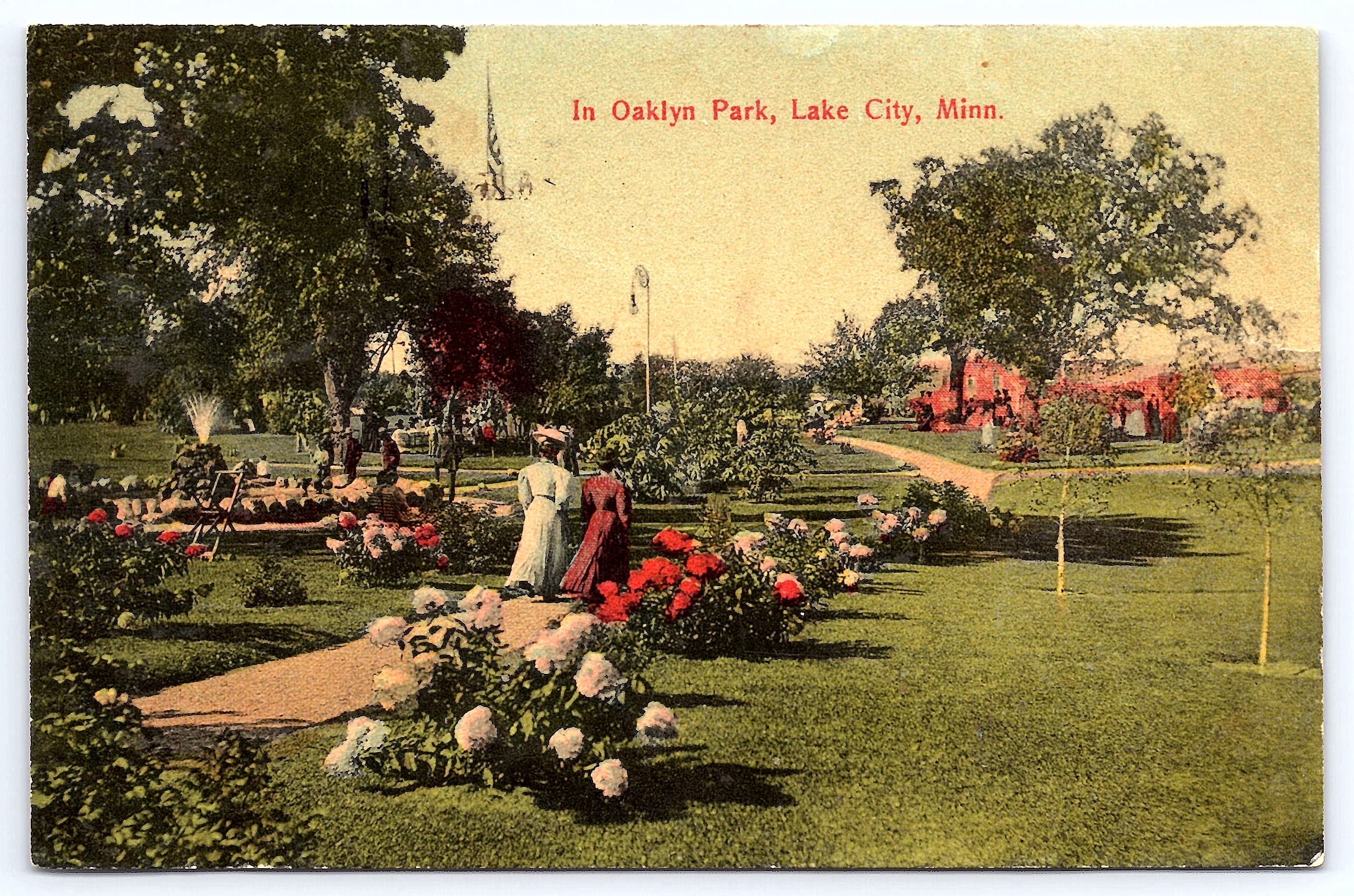N.N. Divided Back Postcard, Oaklyn Park, Lake City, Minn., 1909