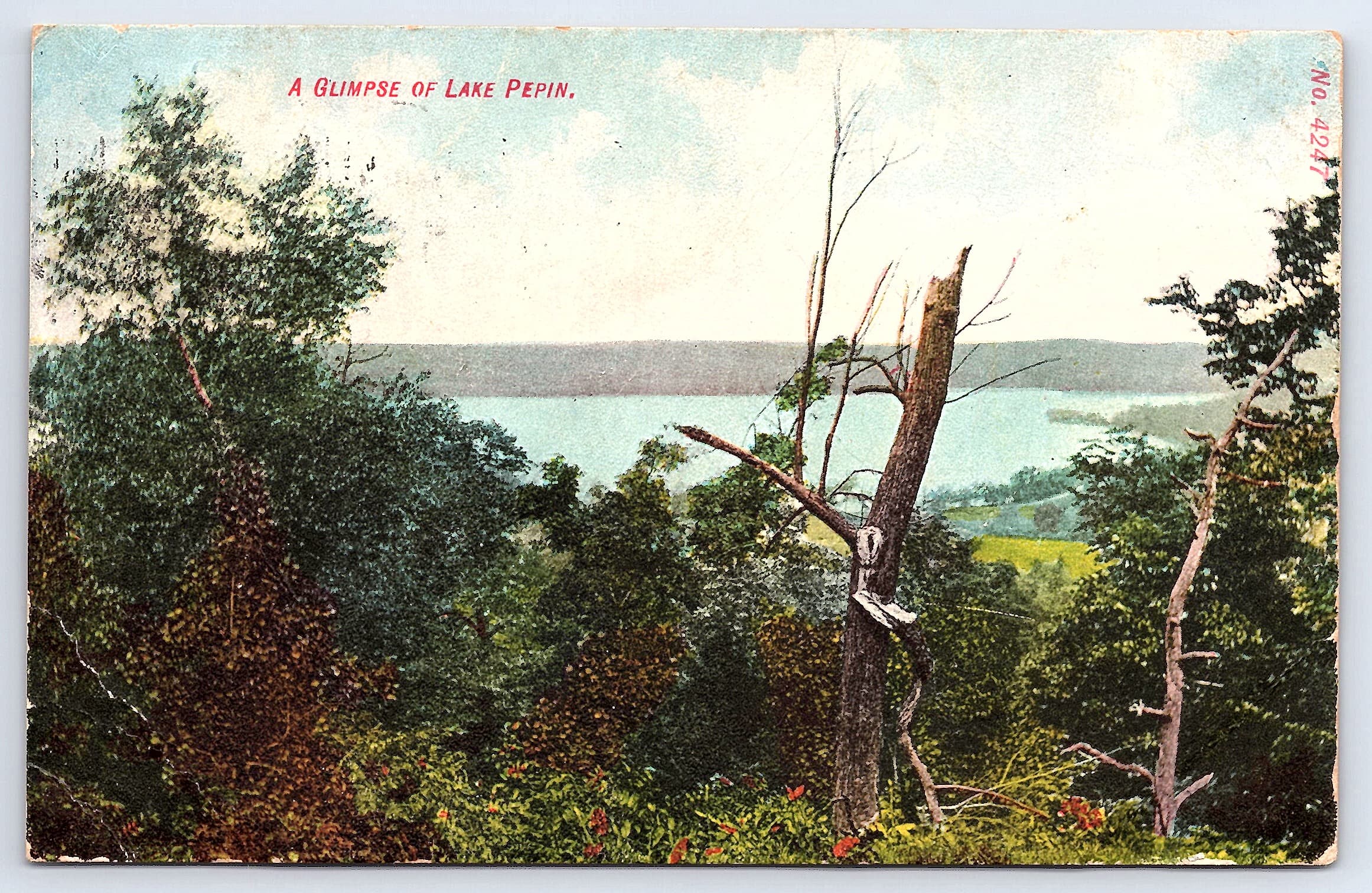 A Glimpse of Lake Pepin, Divided Back Postcard, Lake City, MN, 1908