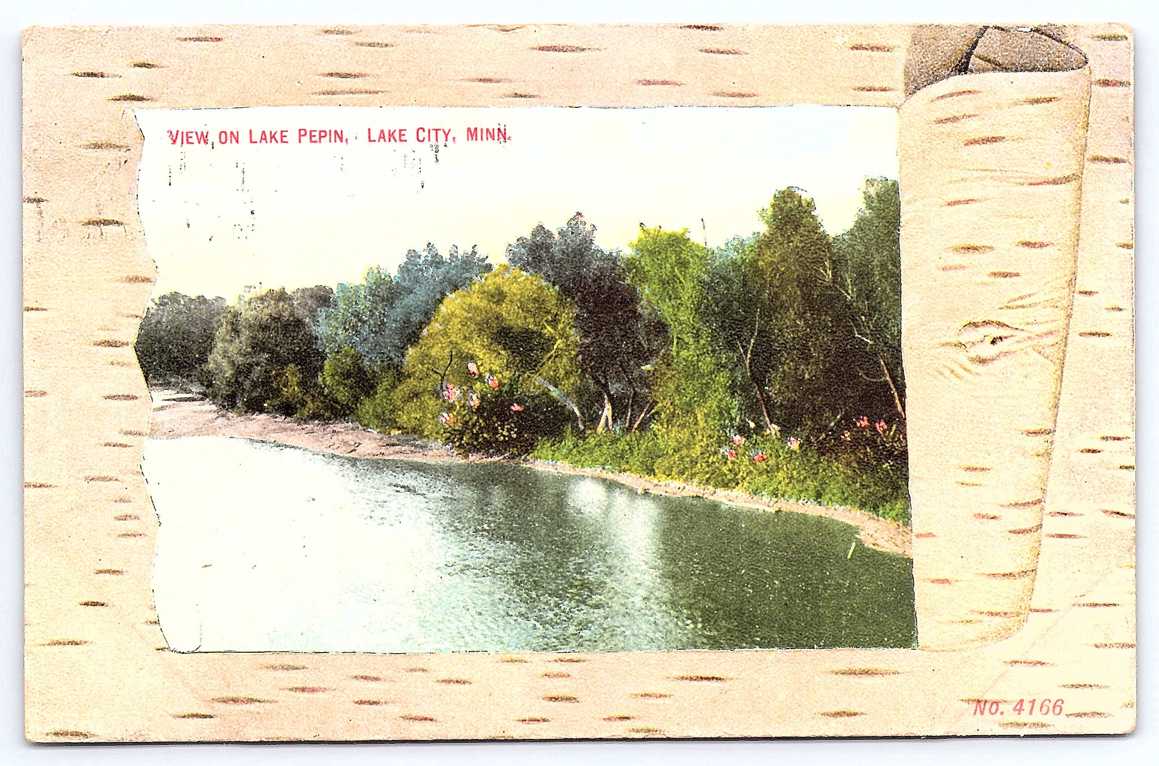 View on Lake Pepin, Lake City, Minn., Divided Back, 1909
