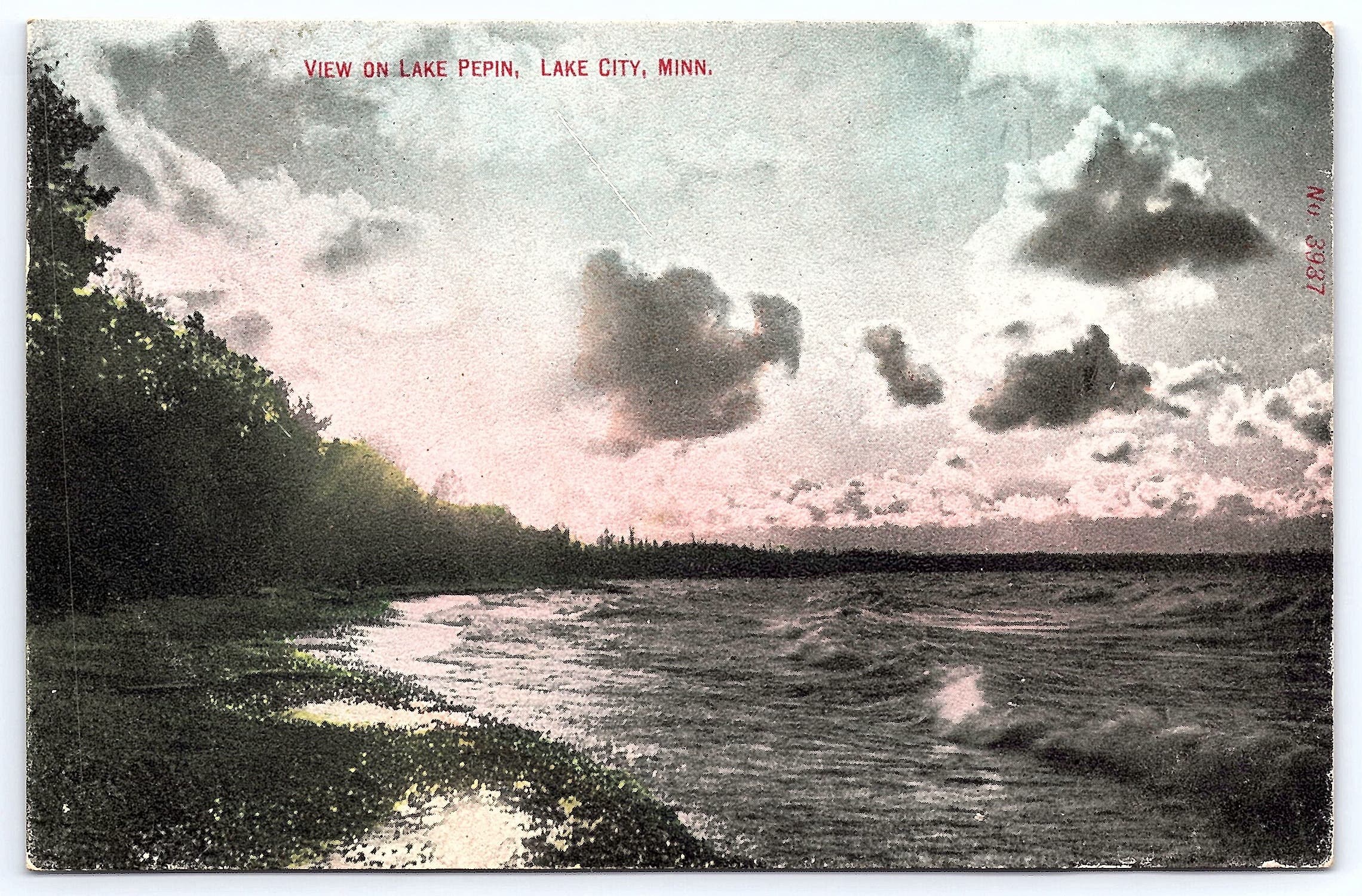 View on Lake Pepin, Lake City, Minn., Divided Back Postcard, 1910s