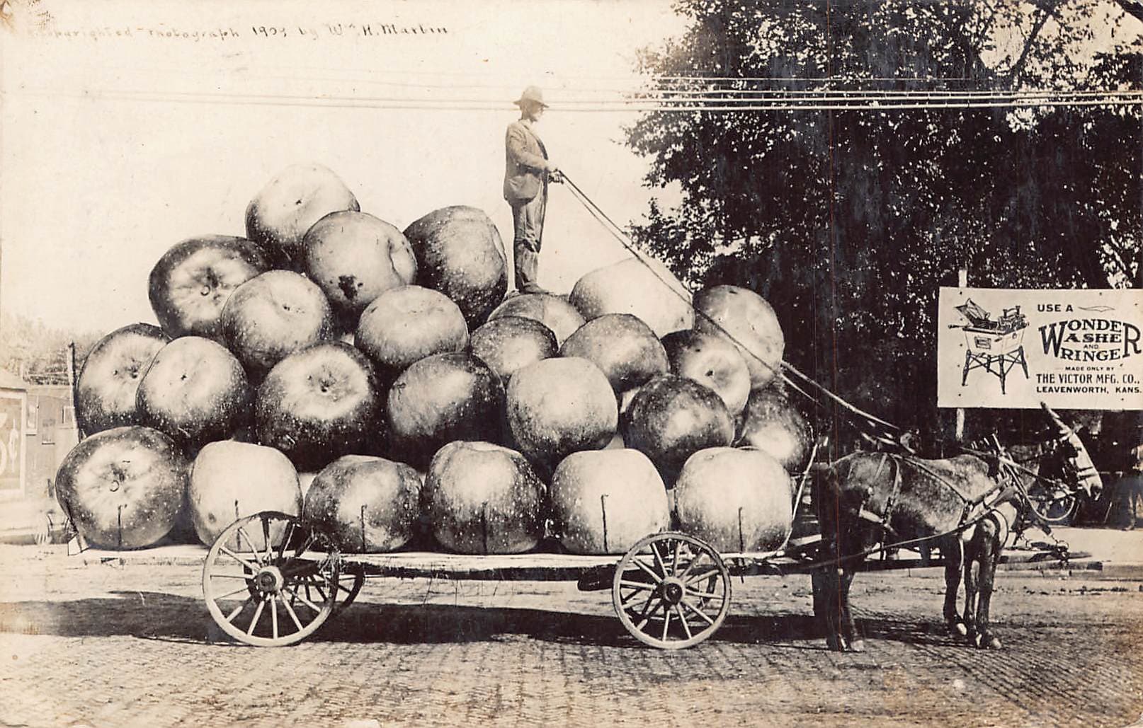 W.H. Martin RPPC, Giant Apples Wagon, Leavenworth KS, 1909 Postmark