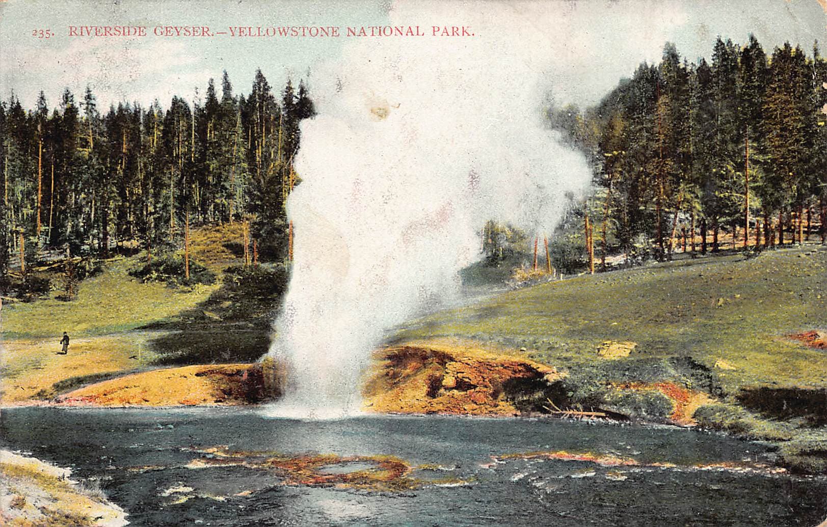 Scheuber Drug Co. Divided Back Postcard, Riverside Geyser, Yellowstone, 1908