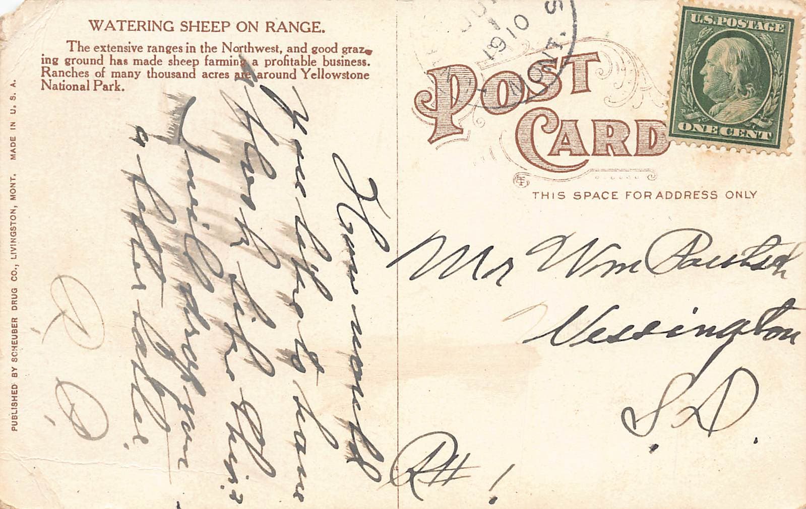 Scheuer Drug Co., Divided Back, Sheep on Range, Yellowstone, 1910 - Back