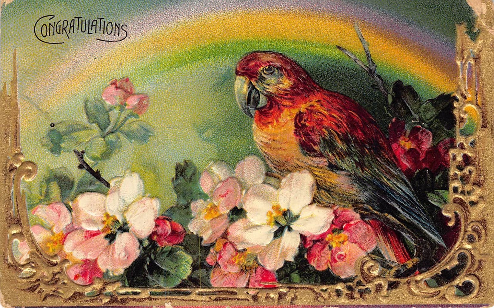 German Publisher, Embossed Linen Postcard, Parrot and Flowers, 1912