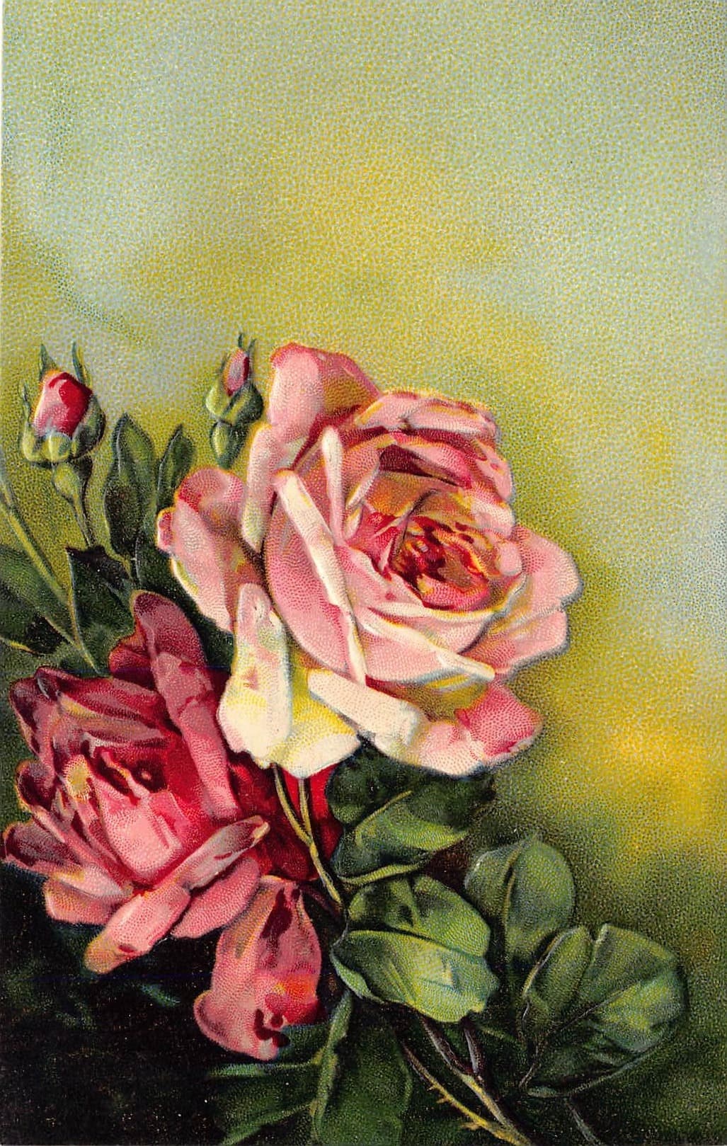 B.B. London Linen Postcard, Roses, Printed in Germany, Early 20th Century