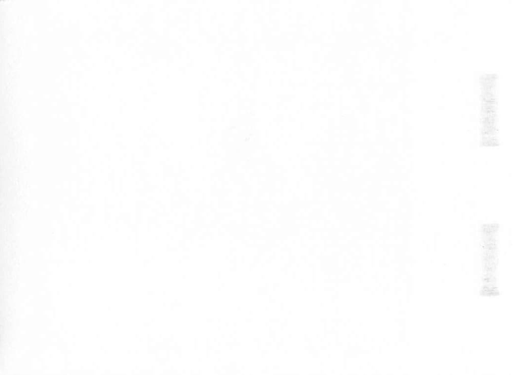 Entrance to Casa Grande National Monument, Arizona, 1950s - Back