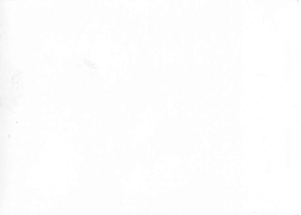 Headquarters Building, Black and White Photograph, Mid-20th Century - Back