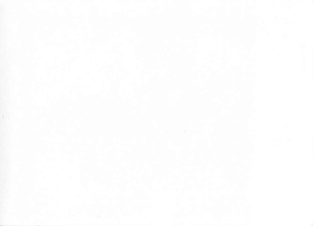 Casa Grande Ruins, Gelatin Silver Print, Arizona, 1950s - Back