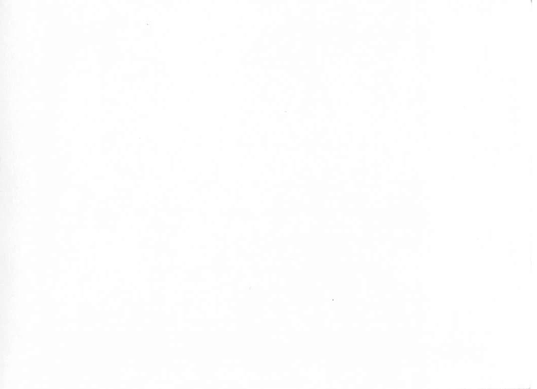 Casa Grande Ruins, Black and White Photograph, Early 20th Century - Back