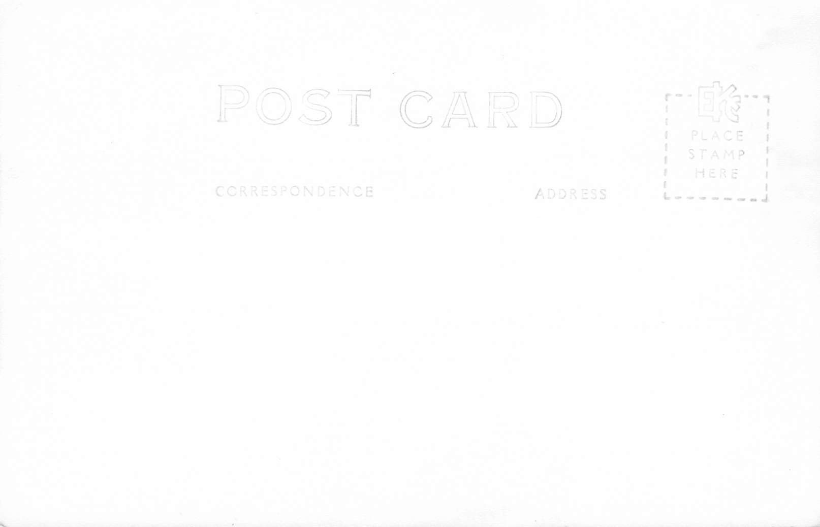 Western Washington Fir Log, RPPC, Washington, 1940s - Back