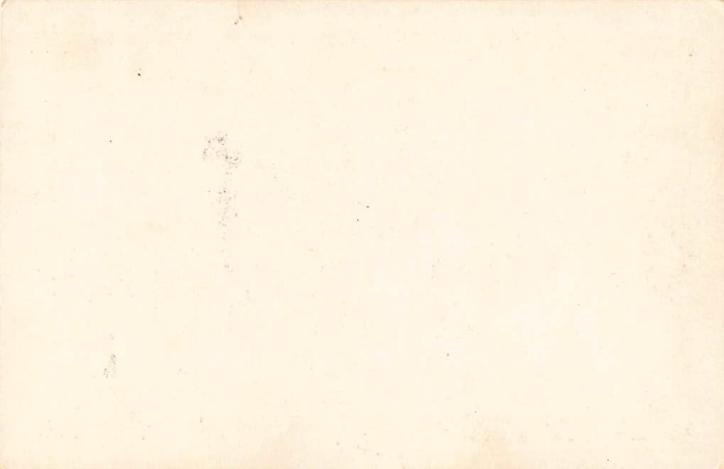 St. Francis Hotel, San Francisco, Photo Print Card, Early 20th Century - Back