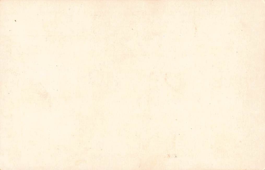 San Francisco City Hall, Photo Print Card, Early 20th Century - Back