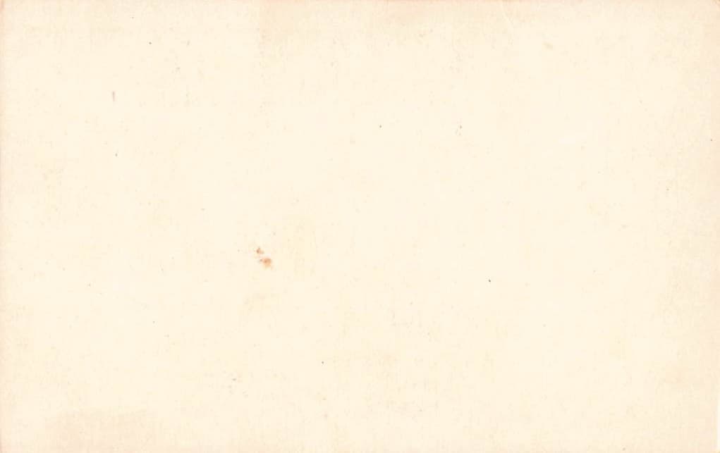 Conservatory, Golden Gate Park, San Francisco, Early 20th Century - Back