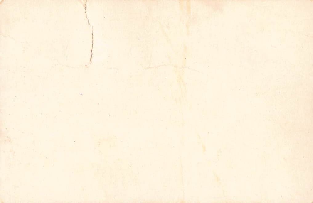 Seal Rocks and Cliff House, San Francisco, c.1900s, Photographic Print - Back