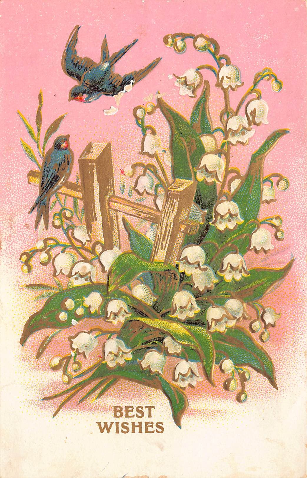 D. Goldie, Divided Back Postcard, Birds and Flowers, 1913