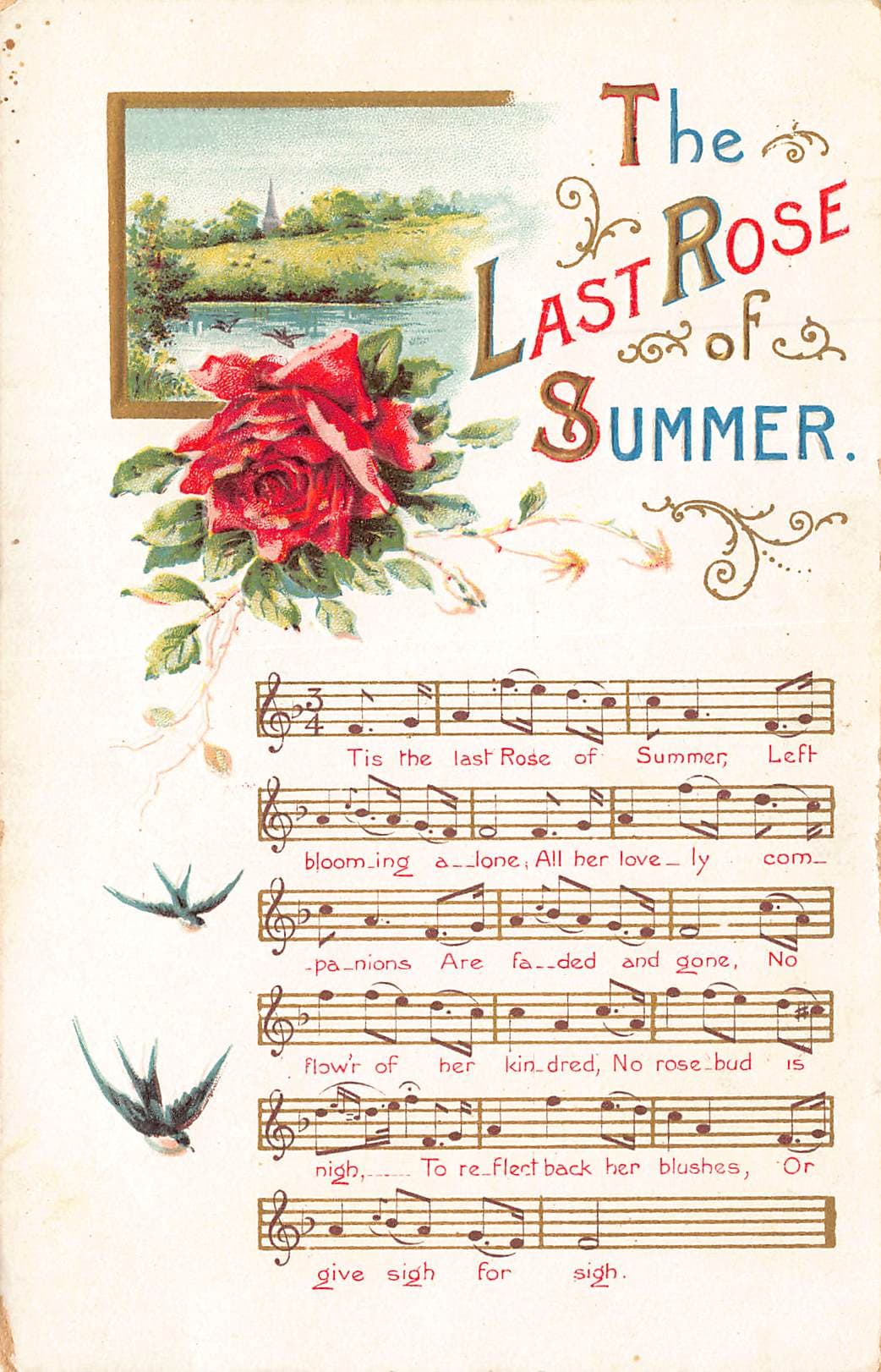 German Publisher, Divided Back Postcard, 'The Last Rose of Summer', Early 1900s
