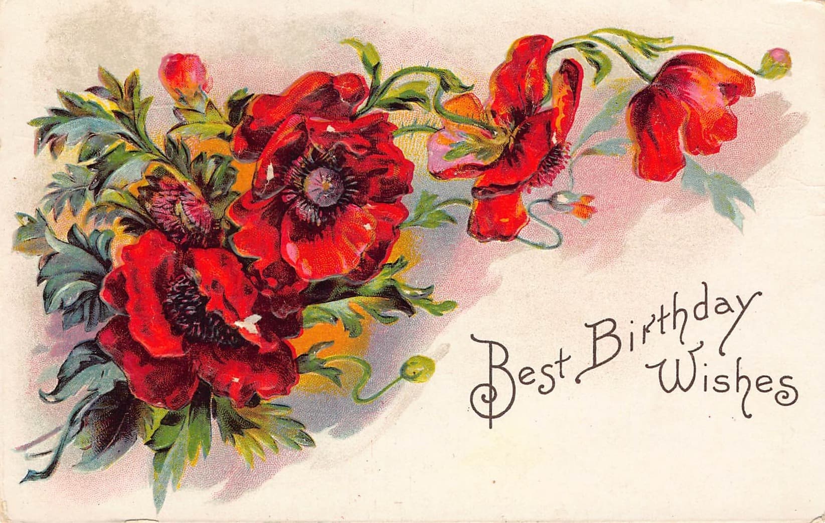 German Printed Divided Back Postcard, Birthday Wishes, 1912