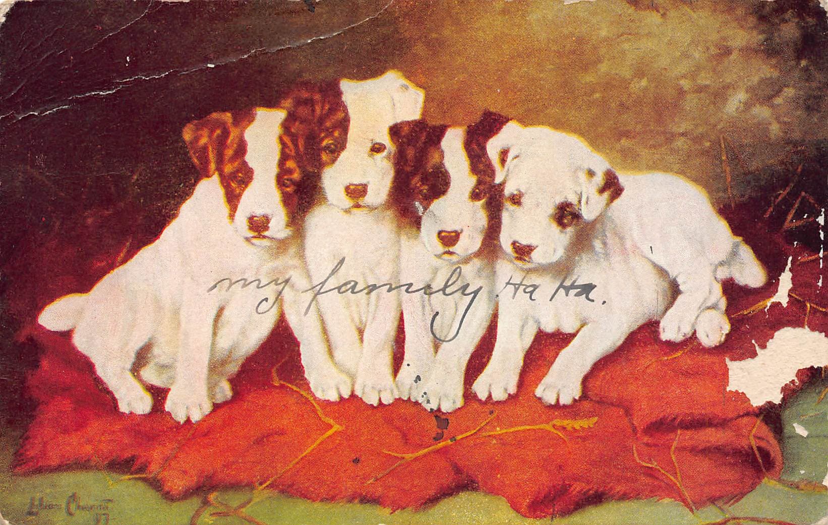 Lina Cherrie Postcard, Puppies, Mount Vernon SD, 1908