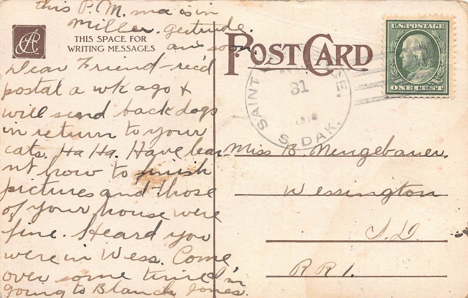 Forget-Me-Not, Divided Back Postcard, South Dakota, 1910 - Back