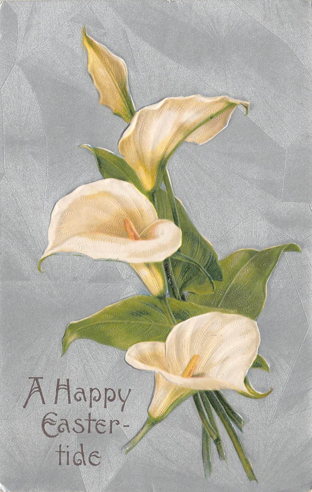 German Publisher, Embossed Easter Postcard, Calla Lilies, 1910s