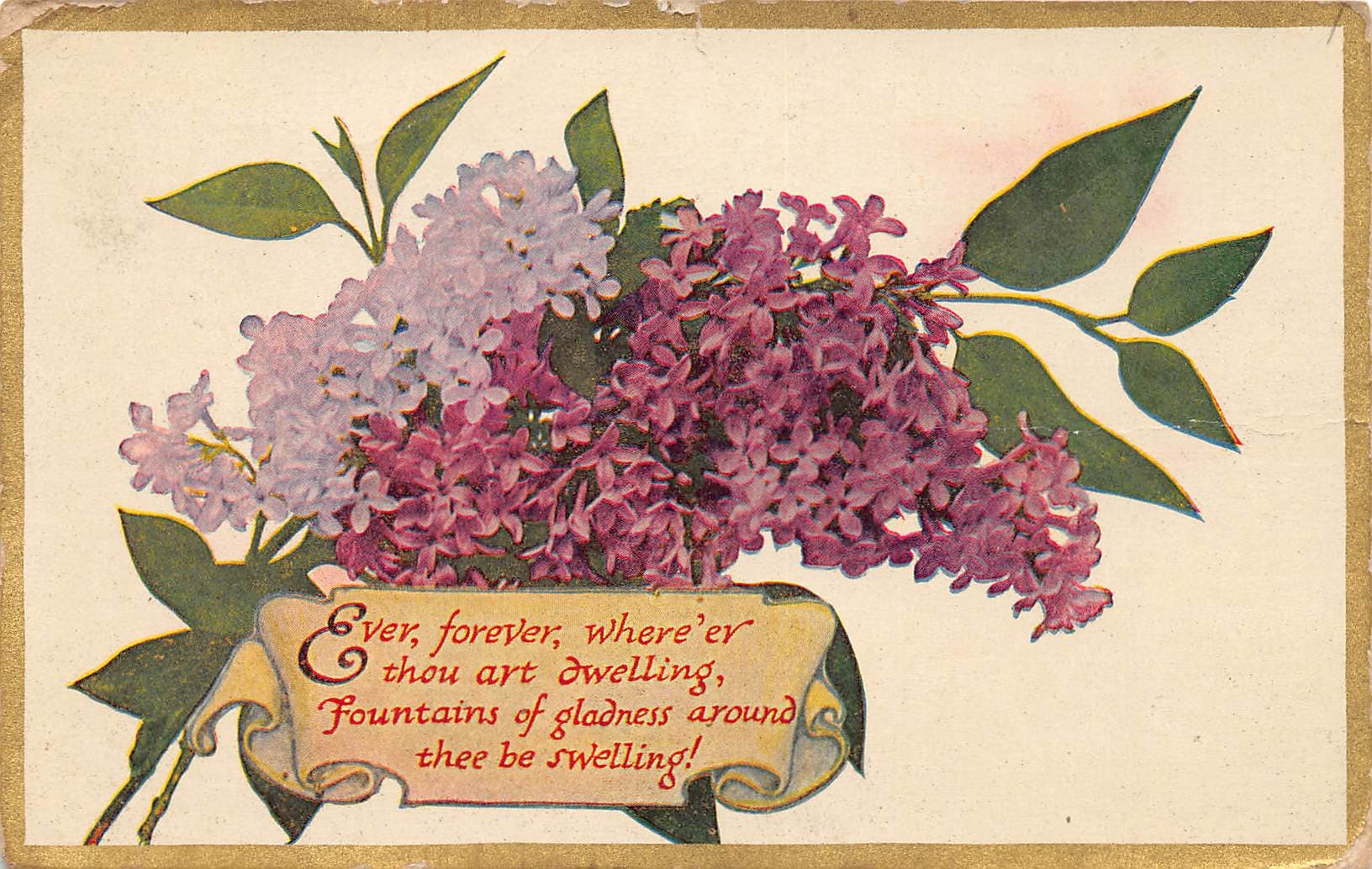 Printed in Germany, Divided Back Postcard, Floral Bouquet, Early 1900s