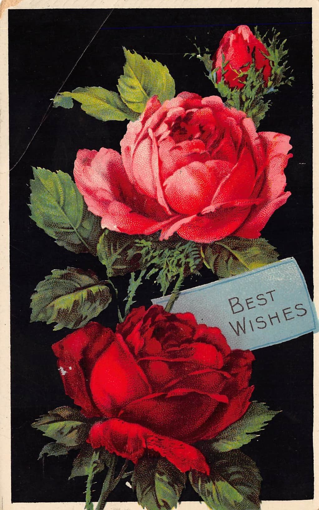 Embossed Roses Postcard, Divided Back, Best Wishes, 1908 Postmark