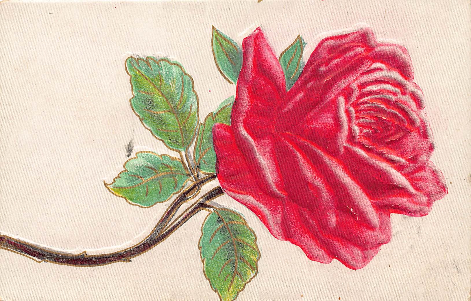 Linen Postcard, Red Rose, Huron, SD, 1910