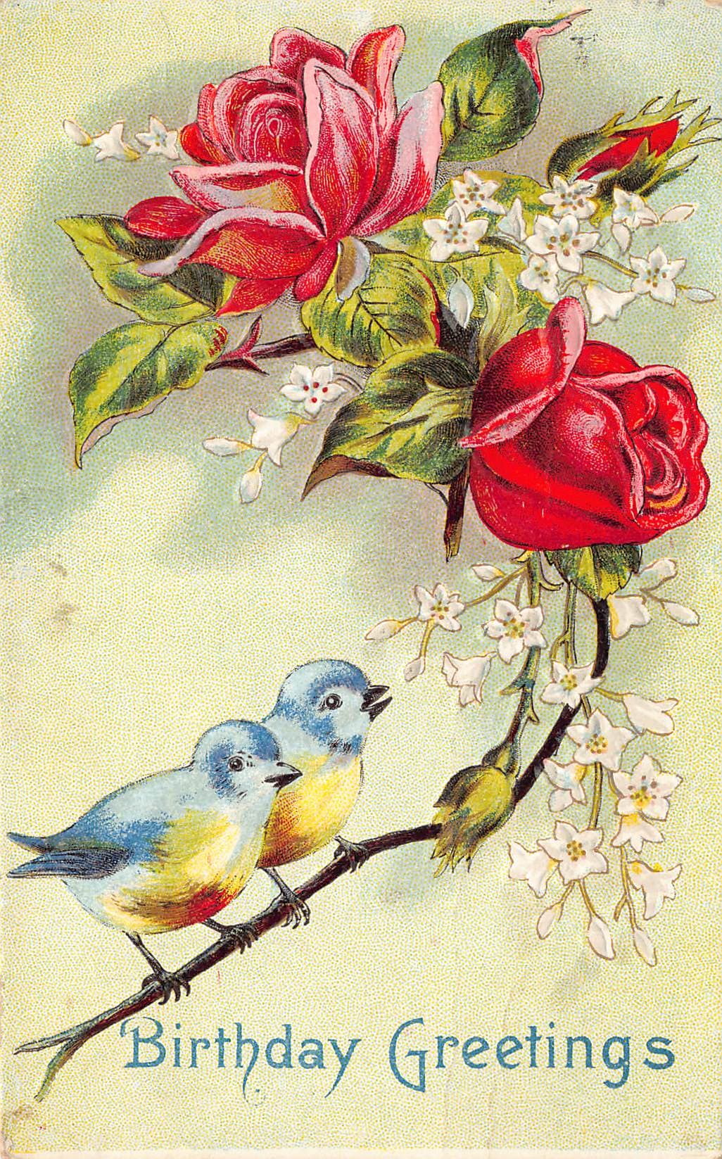 Birthday Greetings, Divided Back Postcard, 1912, South Dakota