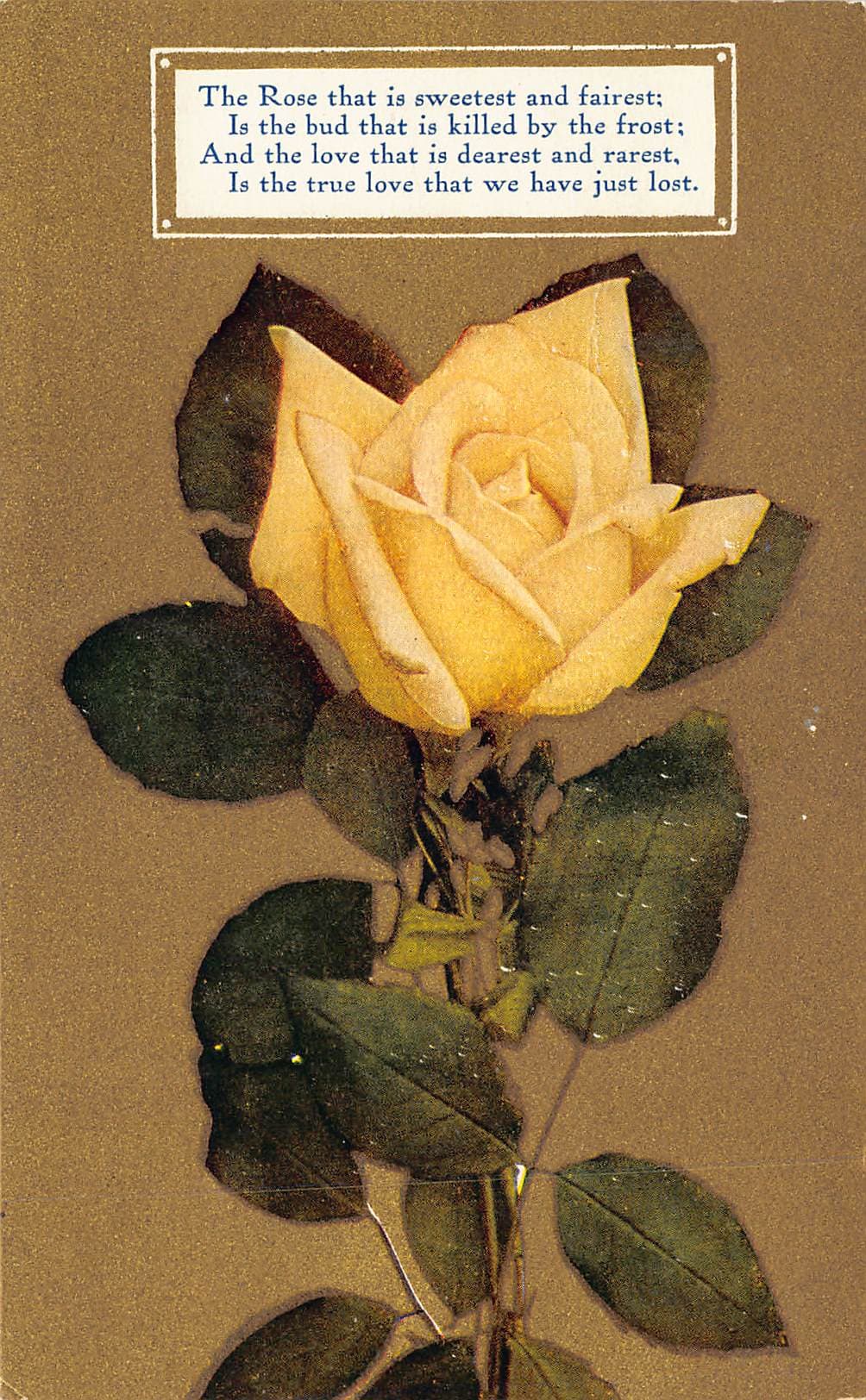 Series No. 68, Divided Back Postcard, Yellow Rose Poem, Early 1900s