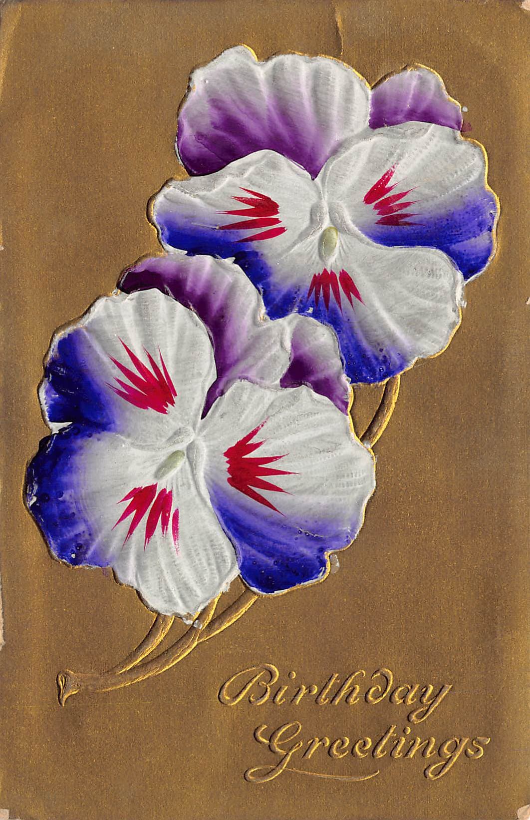 German-American Novelty Art Series, Divided Back, Birthday Greetings, 1909