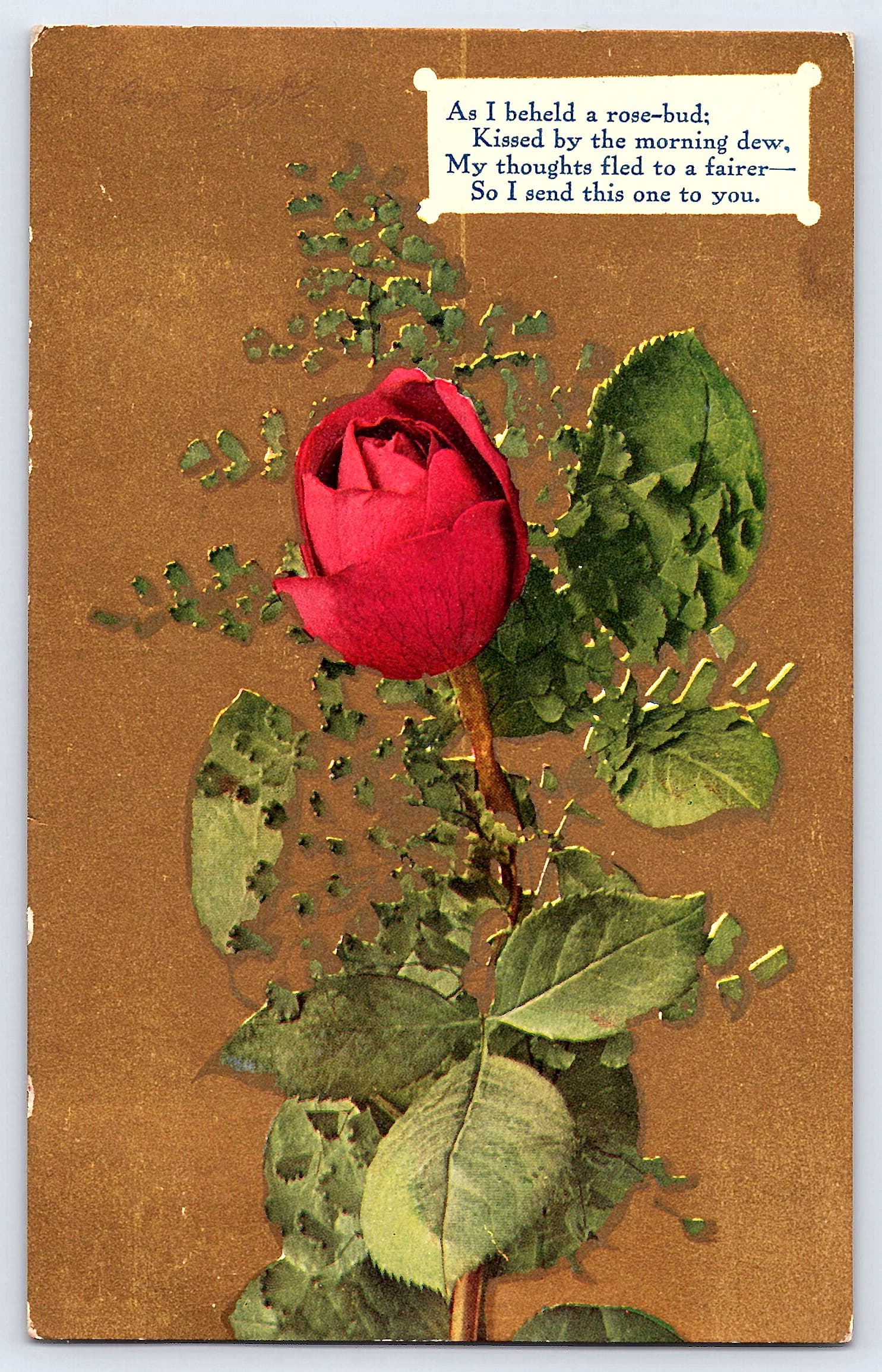 Series No. 68, Divided Back Postcard, Rose Bud, Early 1900s