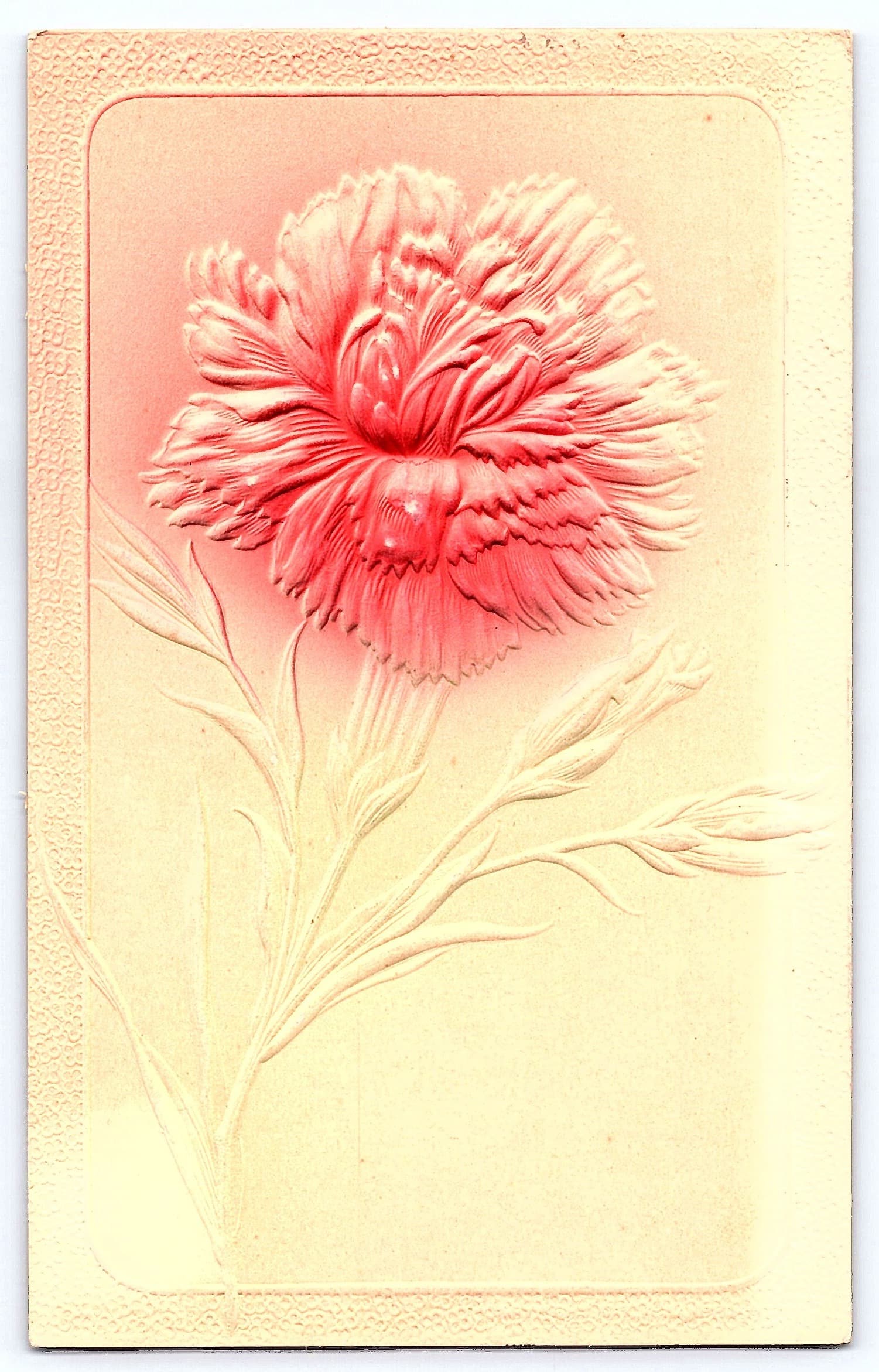 Embossed Flower Postcard, Mount Vernon SD, 1910