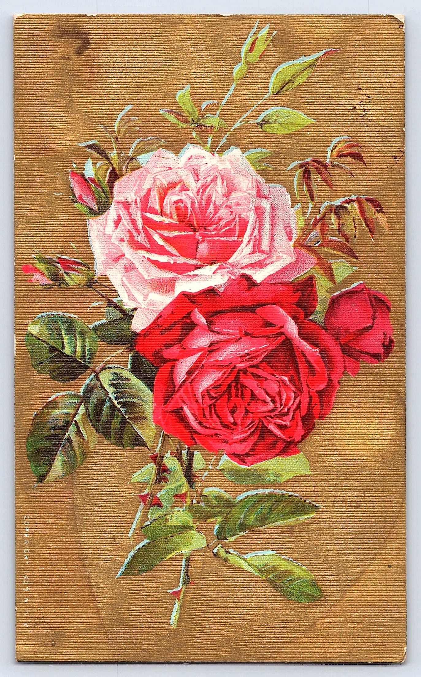 Linen Postcard, Roses Illustration, Early 20th Century
