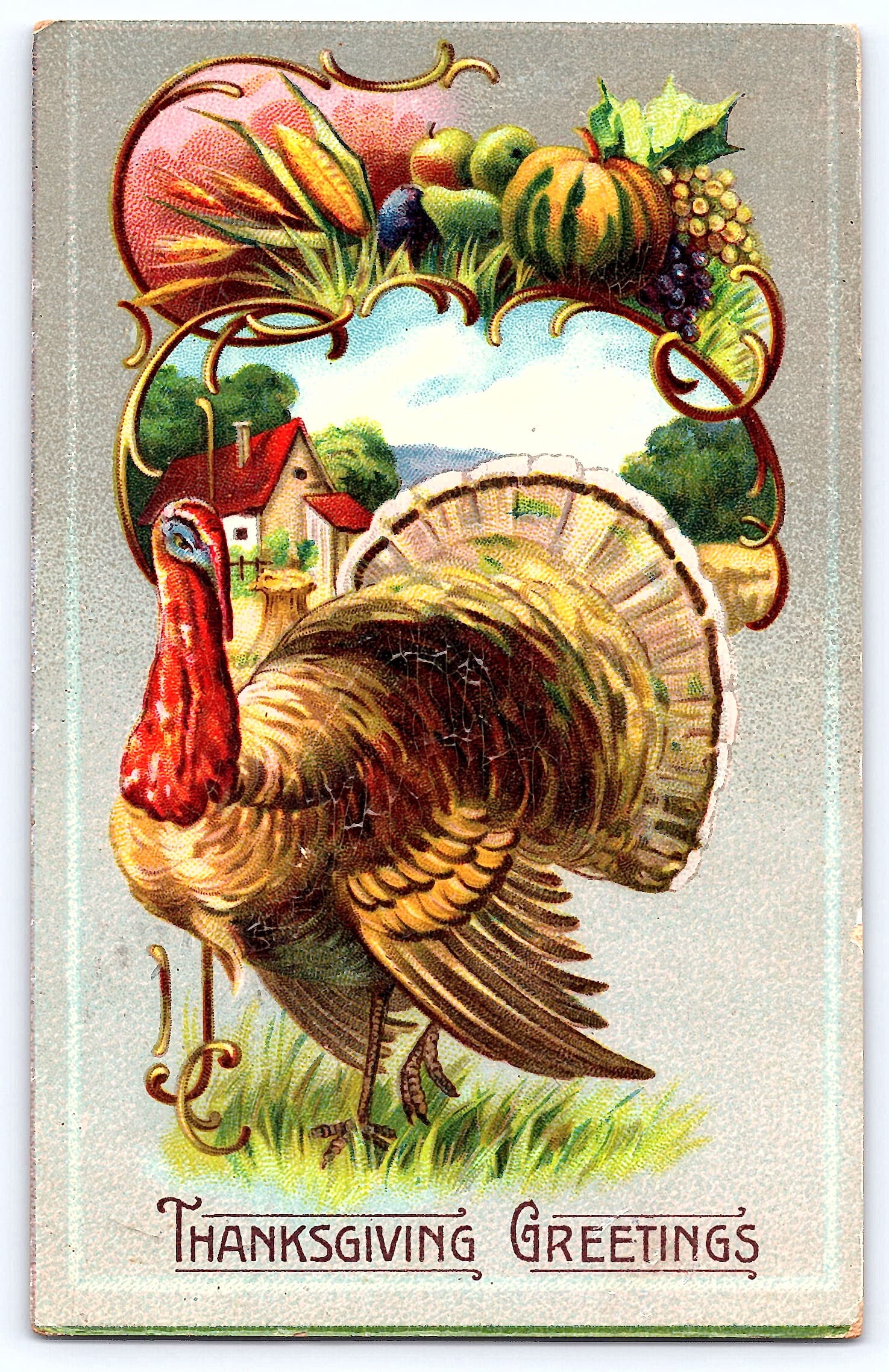 Thanksgiving Greetings, Divided Back Postcard, Wessington, SD, 1913