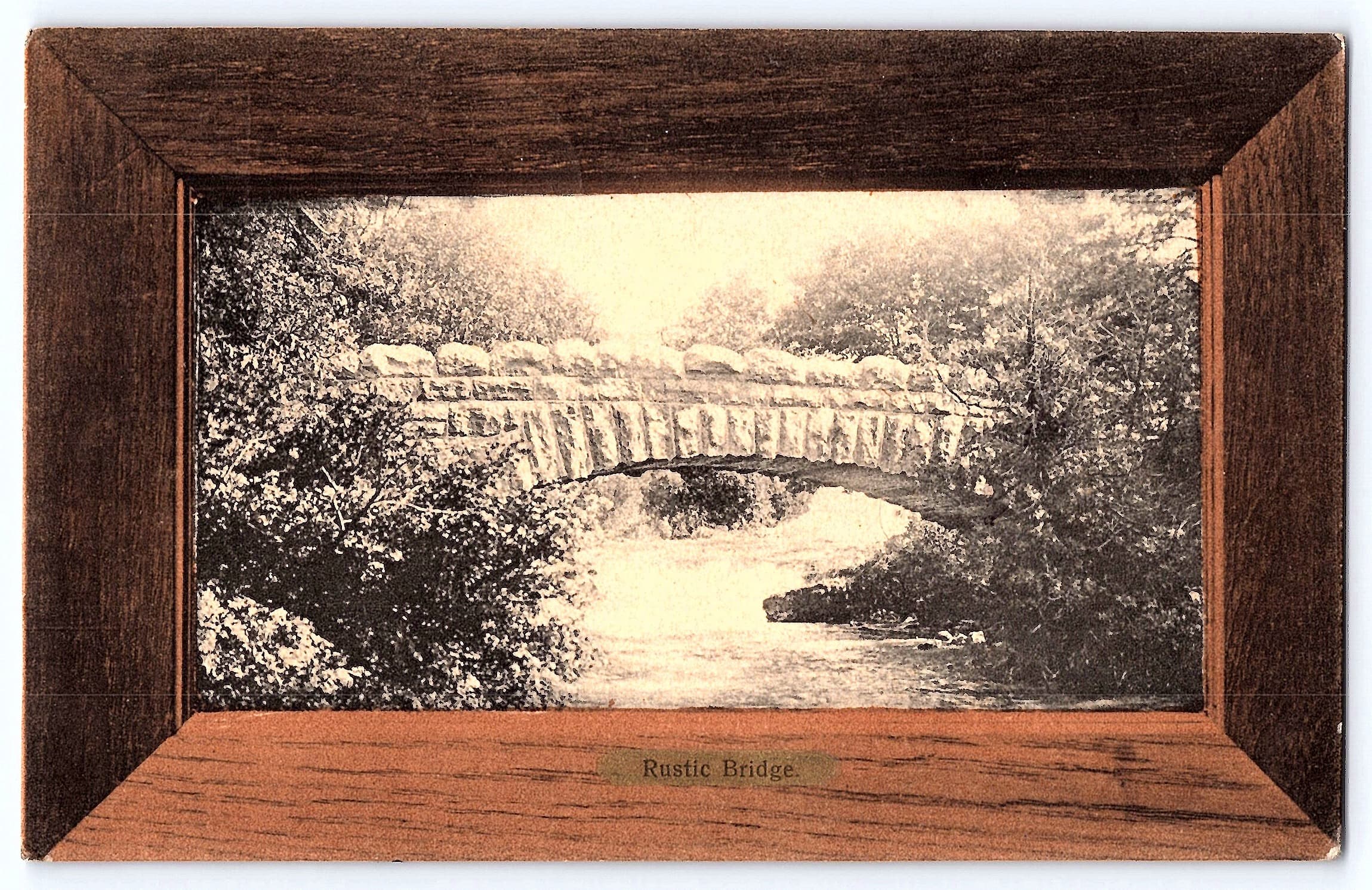 Rotograph Rustic Bridge Postcard, Niagara Falls, 1909