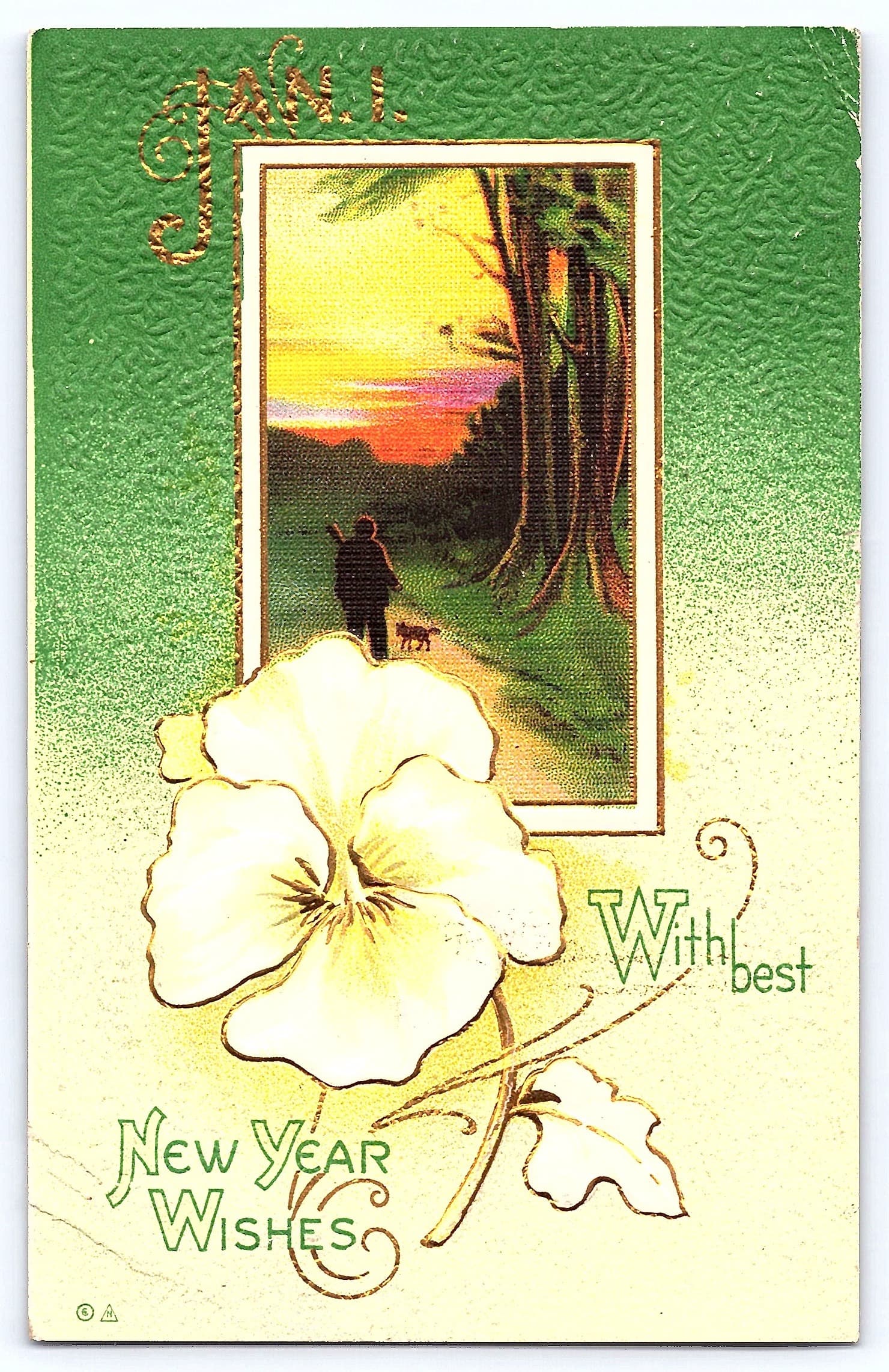 New Year Wishes, Divided Back Postcard, 1915, South Dakota