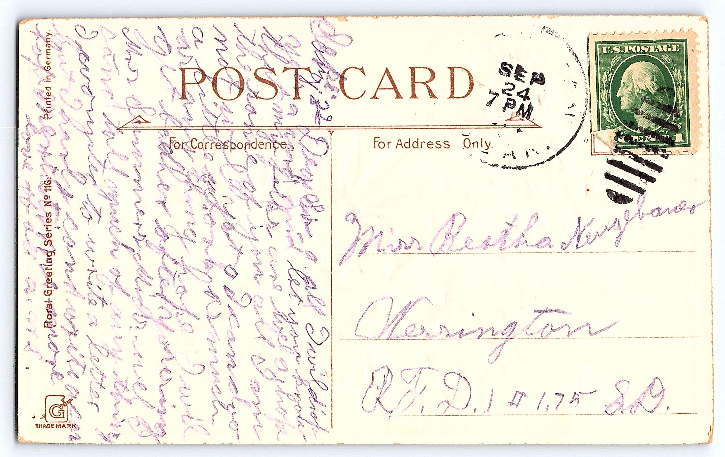 Floral Greeting Series, Divided Back, Carnations, 1910s Postmark - Back