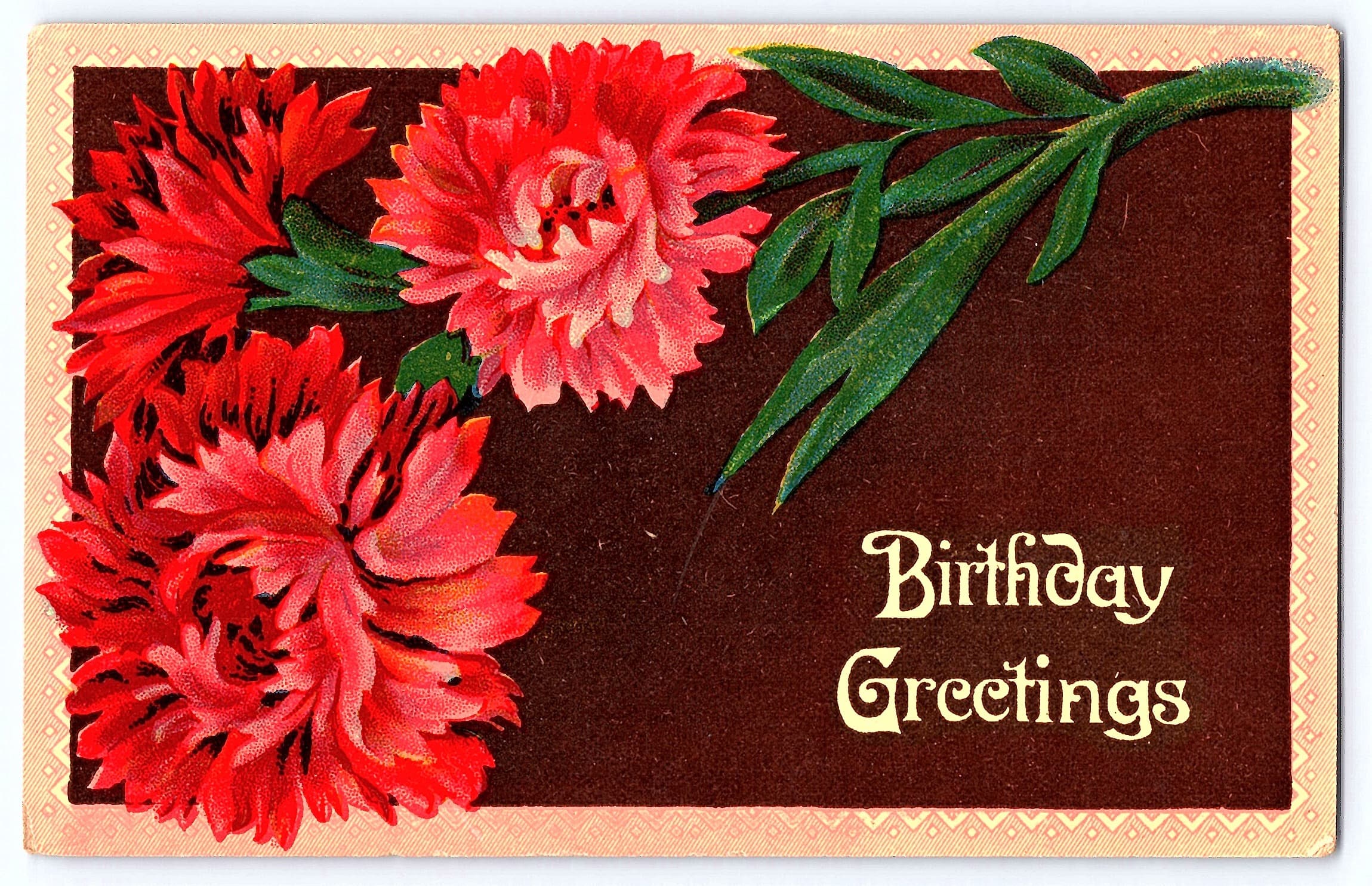 Printed in Germany, Divided Back, Birthday Greetings, Early 1900s - Front