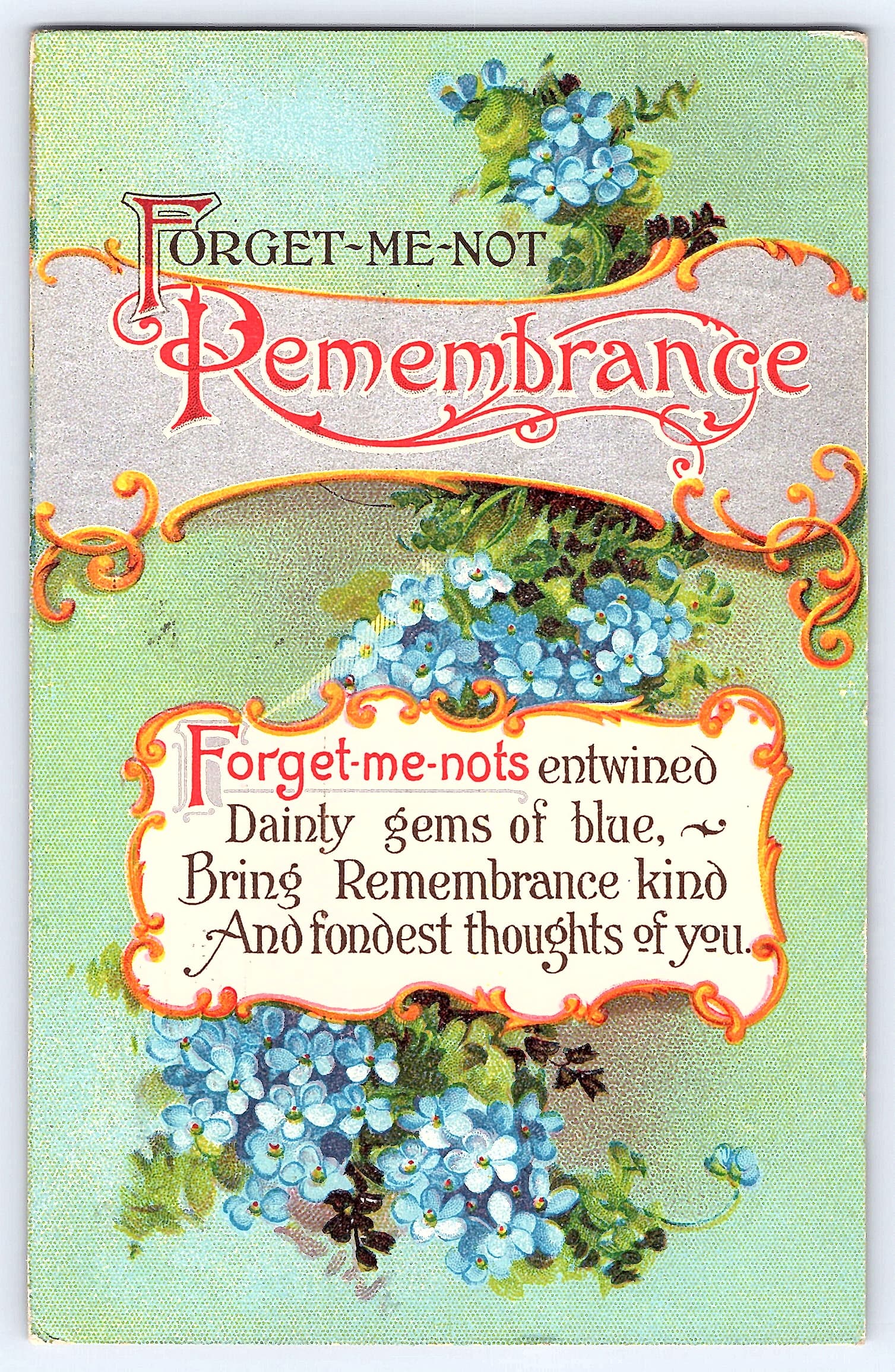 Forget-Me-Not Remembrance Postcard, Divided Back, Wyoming, 1912