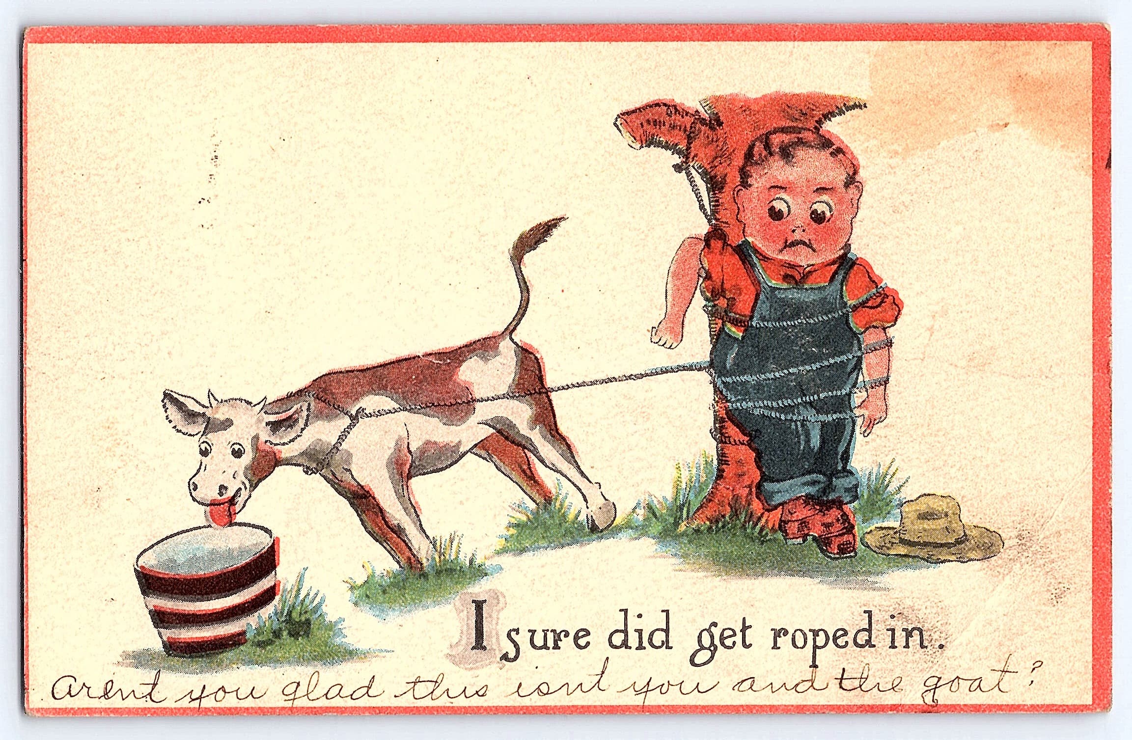 Humorous Postcard, Divided Back, Boy and Calf, 1913 Postmark, Eagle Bend, MN - Front