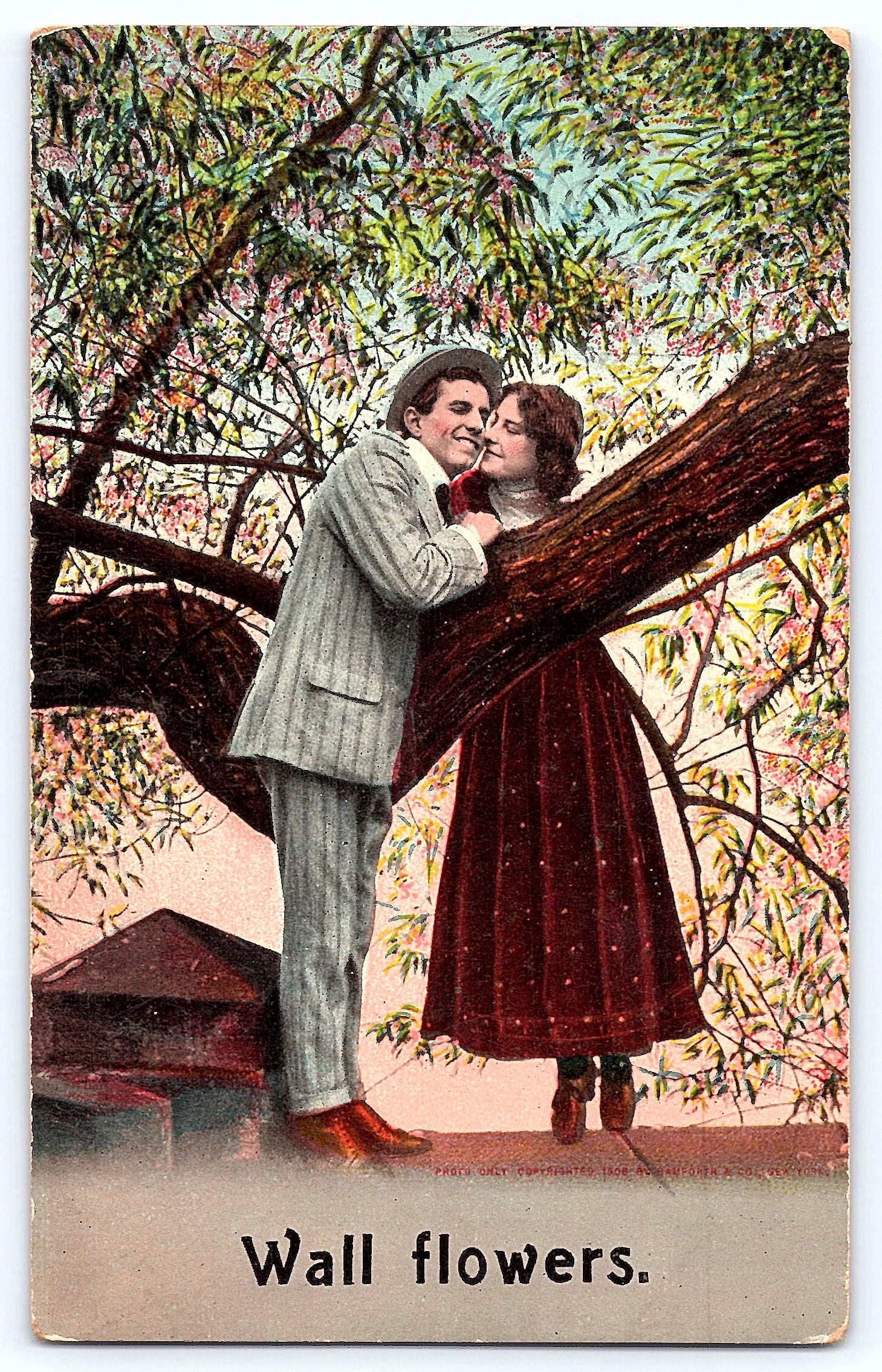 Wall Flowers, Divided Back Postcard, Romance Scene, 1911