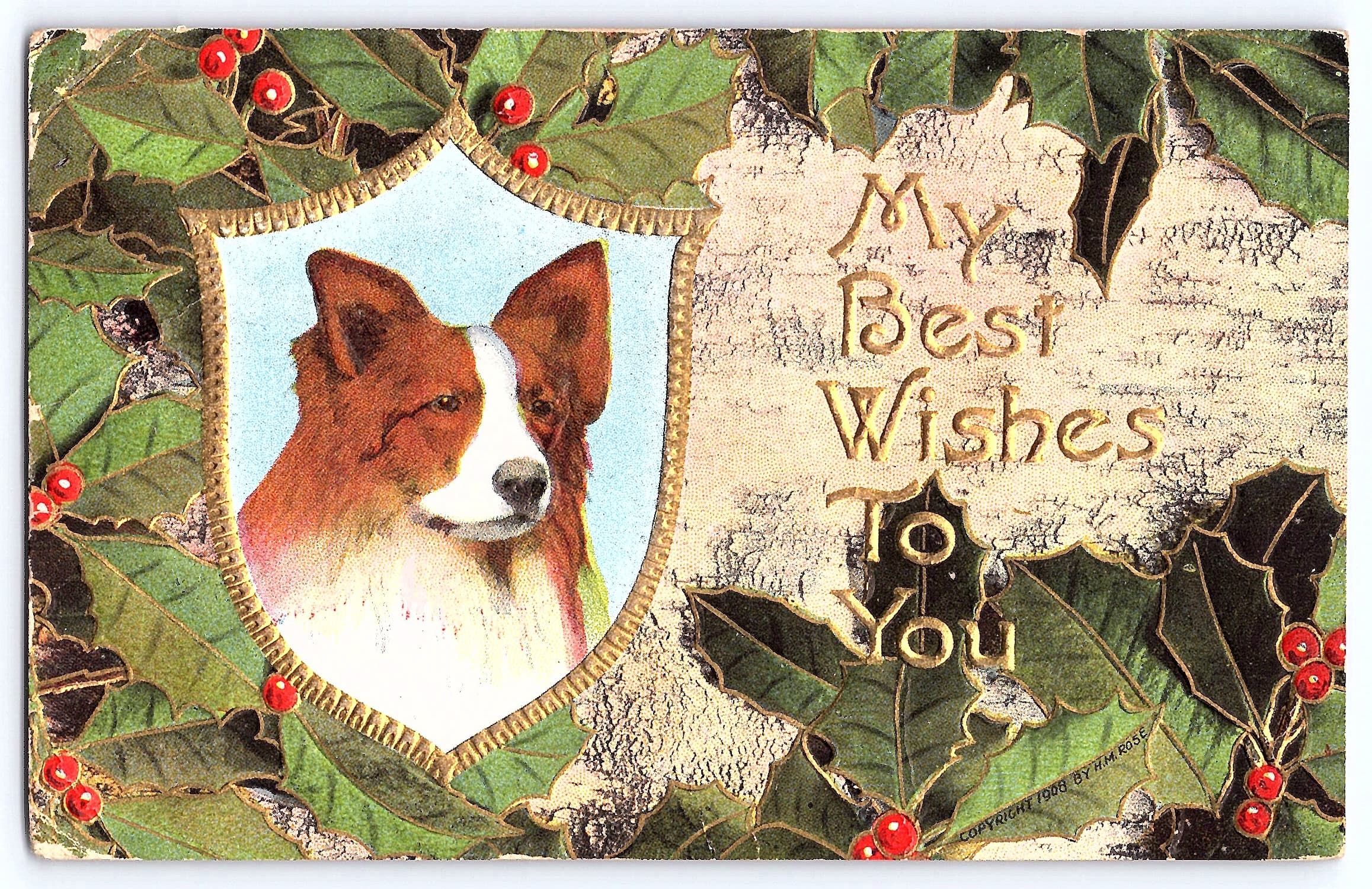 H.M. Rose, Divided Back Postcard, Dog with Holly, 1911 Postmark
